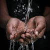 Acqua dolce contro la malnutrizione