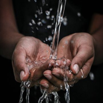 Acqua dolce contro la malnutrizione