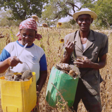 Centre Tournesol – Burkina Faso