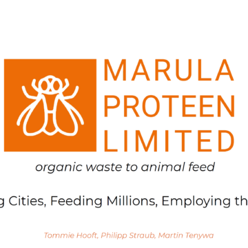 Caso studio: Marula ProTeen