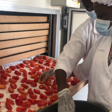 Agroimpresa per lo sviluppo sostenibile