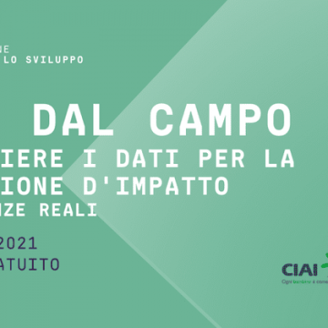 Voci dal campo