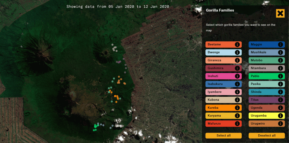 Gorilla Tracker (Dian Fossey Gorilla Fund)