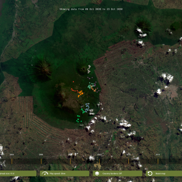 Gorilla Tracker