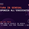 Agricoltura in Senegal: dall’idroponica all’essiccazione