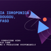 Tecnologia idroponica in Burkina Faso